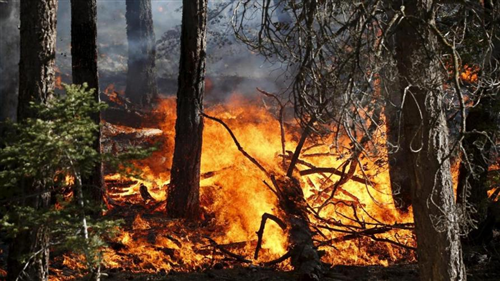Stato di massima pericolosità incendi boschivi su tutto il territorio regionale